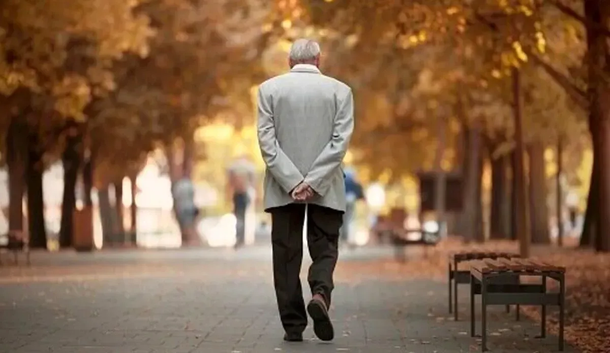 بازنشسته