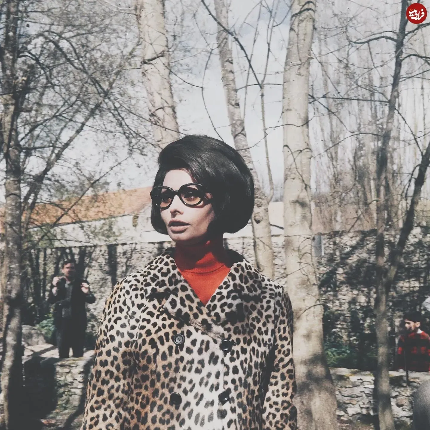simplysophialoren_1570709414_2151588973500072331_284857139